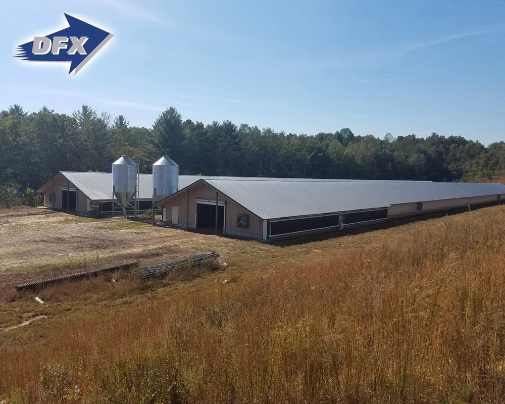 Commercial Steel Frame Broiler Poultry Farm Shed Prefabricated Chicken