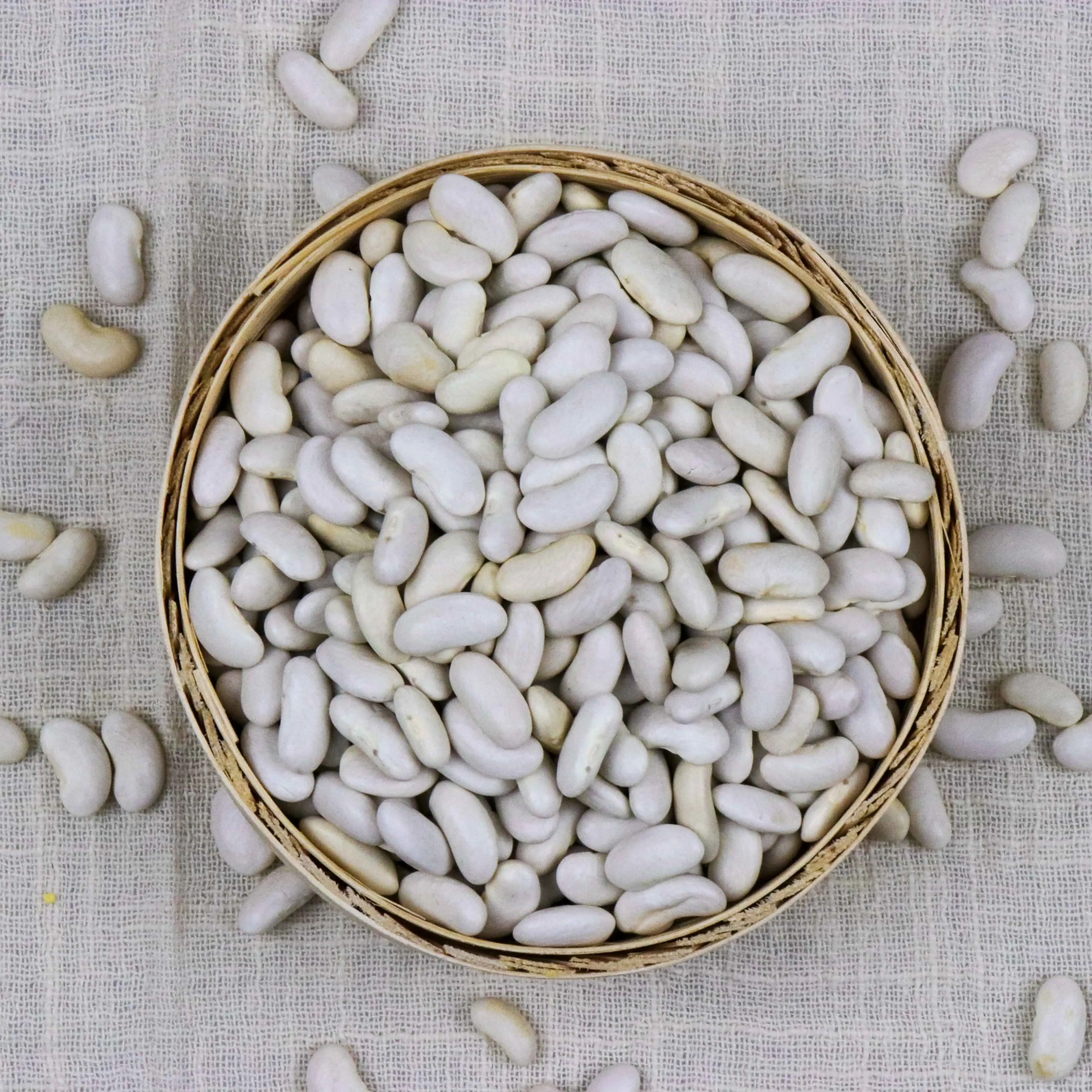 new crop good price white kidney beans