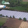 Isreal Hydroponic System Multi Span Plastic Film Greenhouse