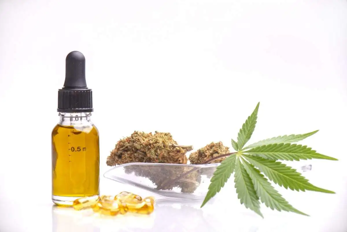 Aceite de cannabis para que sirve