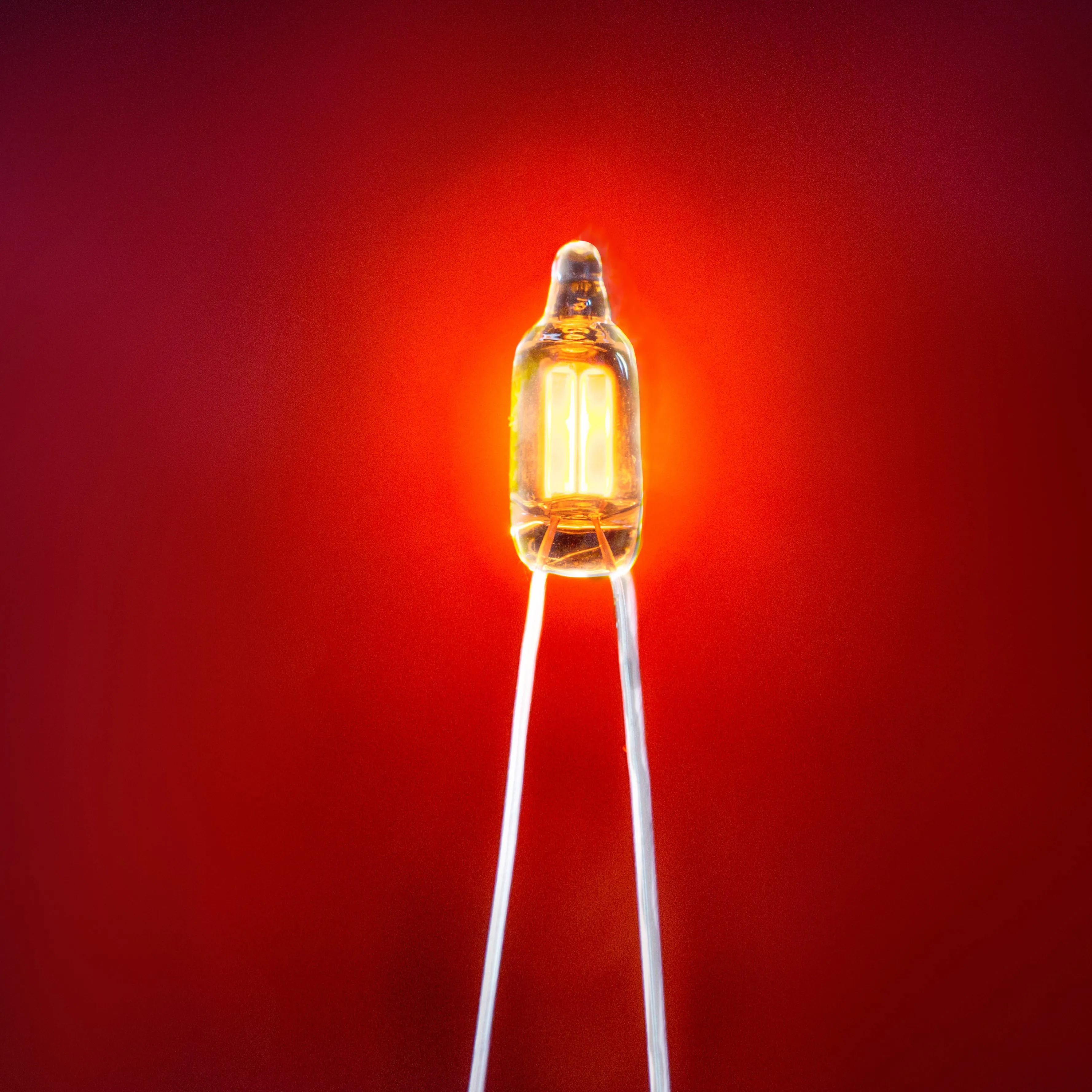 NE-2UH Red color ultra brightness neon lamps  neon bulbs  neon tubes 110V/220V AC