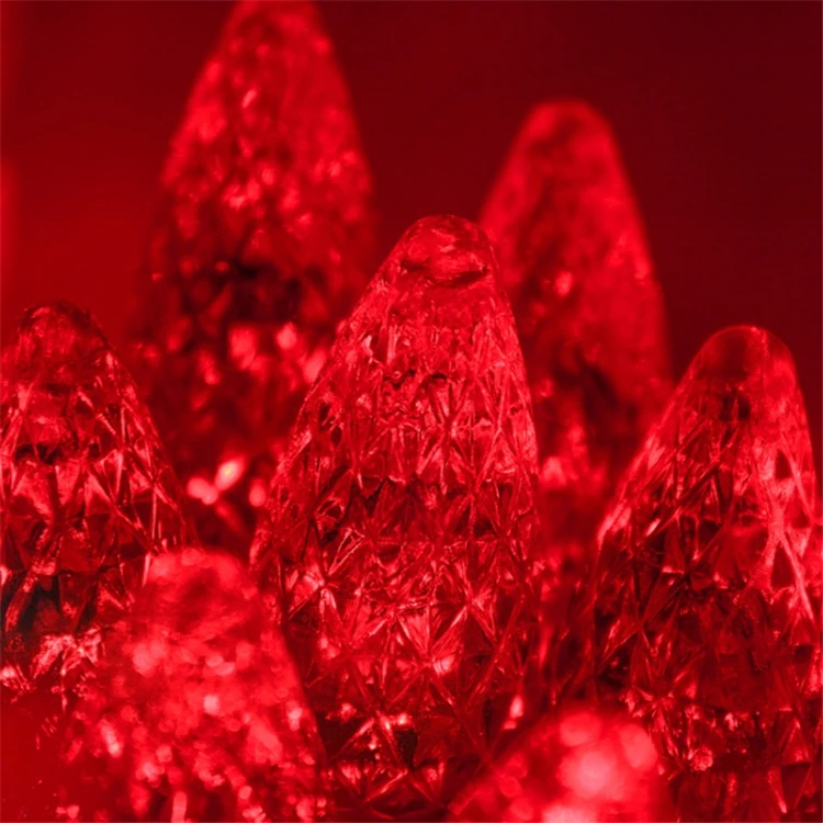 C6 string light.07.jpg