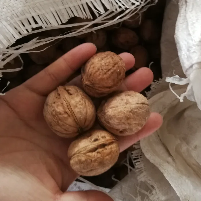 
100% Xinjiang Origin Thin-skinned Walnuts 185 variety 