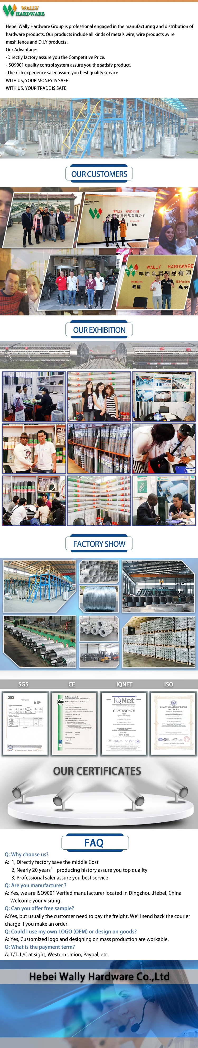 Twin Wire 8/6/8 Fencing Mesh Panel /double Wire Mesh Wrought Iron Style Fence