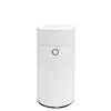 Hot Selling Various Scents Essential Oil Diffuser With Low Price