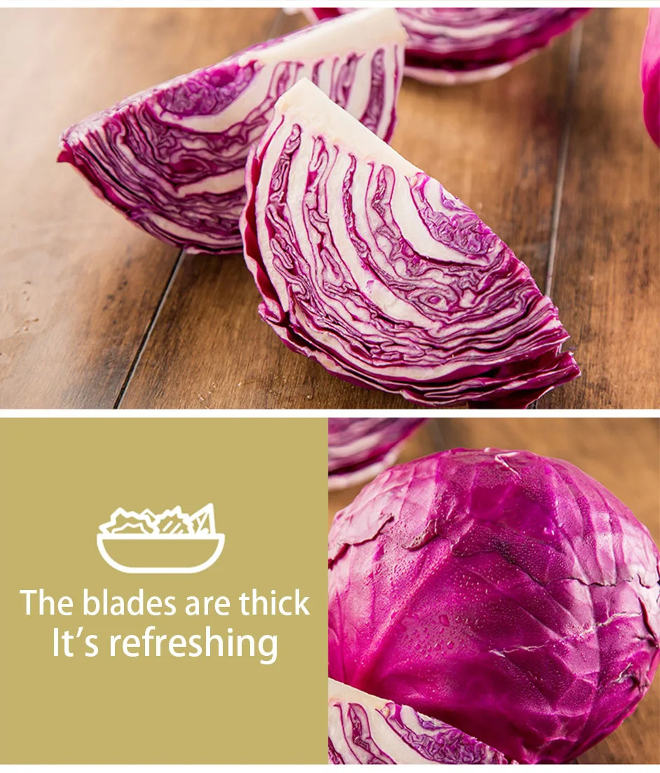 fresh kale purple cabbage