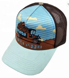 trucker hat 5.png