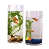 Custom Home Office Decor Plexiglass Aquarium Tank Acrylic Mini Fish Bowls Water Tube Desk Flower Vase