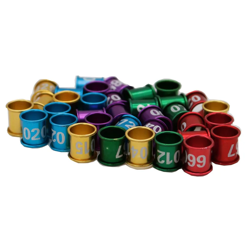 YZ-07 bird ring 3.jpg