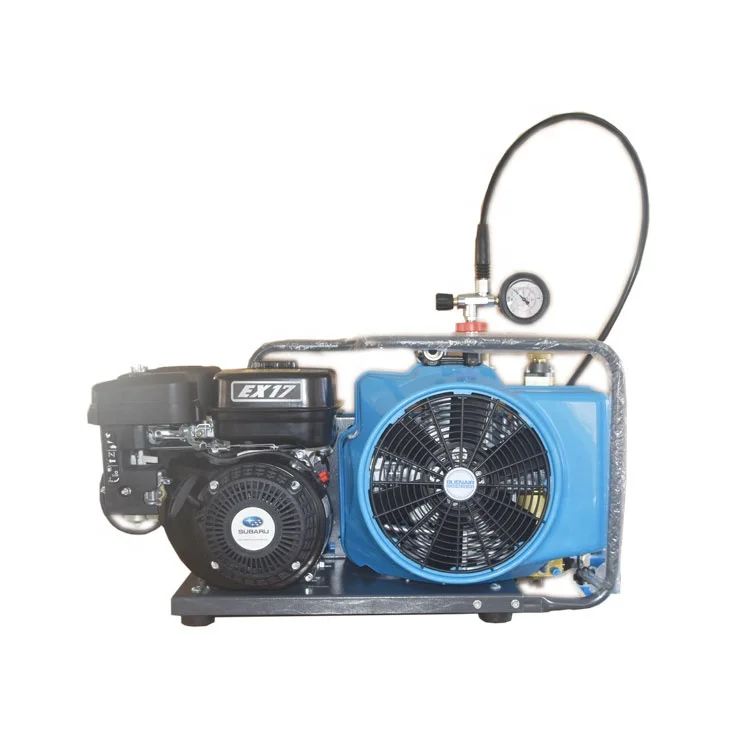Mini Portable air Cooling Compressors for Swimming or Firefighting ...