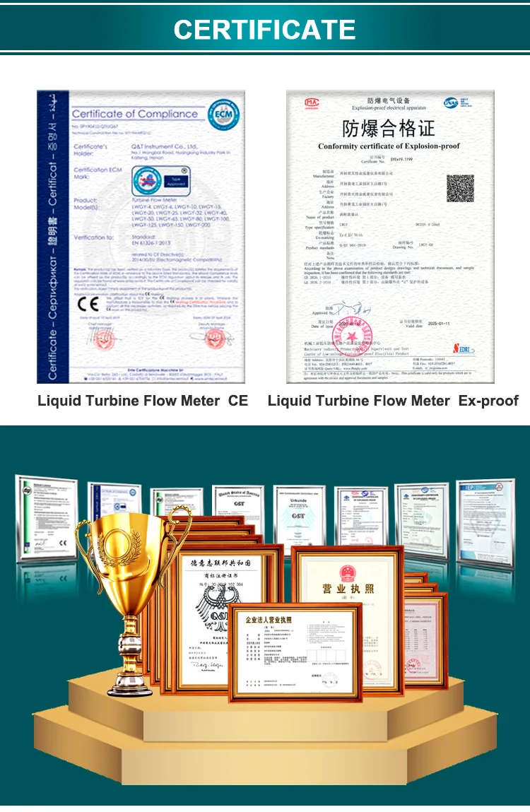 turbine flow meter (13)