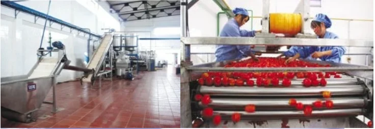 Tomato Ketchup Processing Machine Production Line - Buy Tomato Pulper