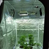 SOLIDEE over 15 years high quality manufacturer 1000w de fixture vertical farming equipment for indoor grow tent vercal garden