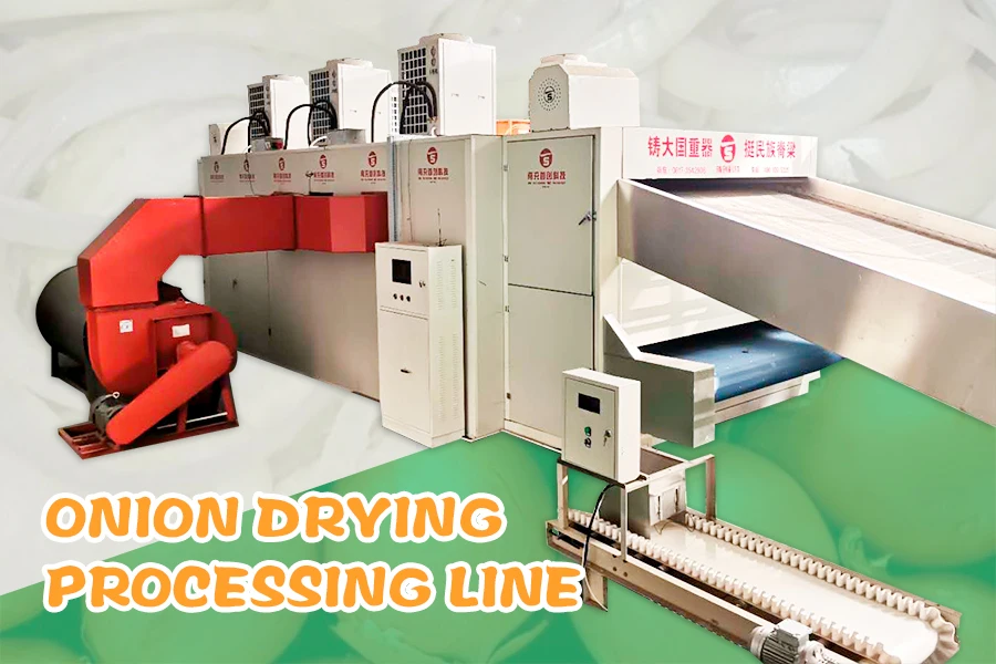 Hot sale onion slicer onion dryer onion drying processing line