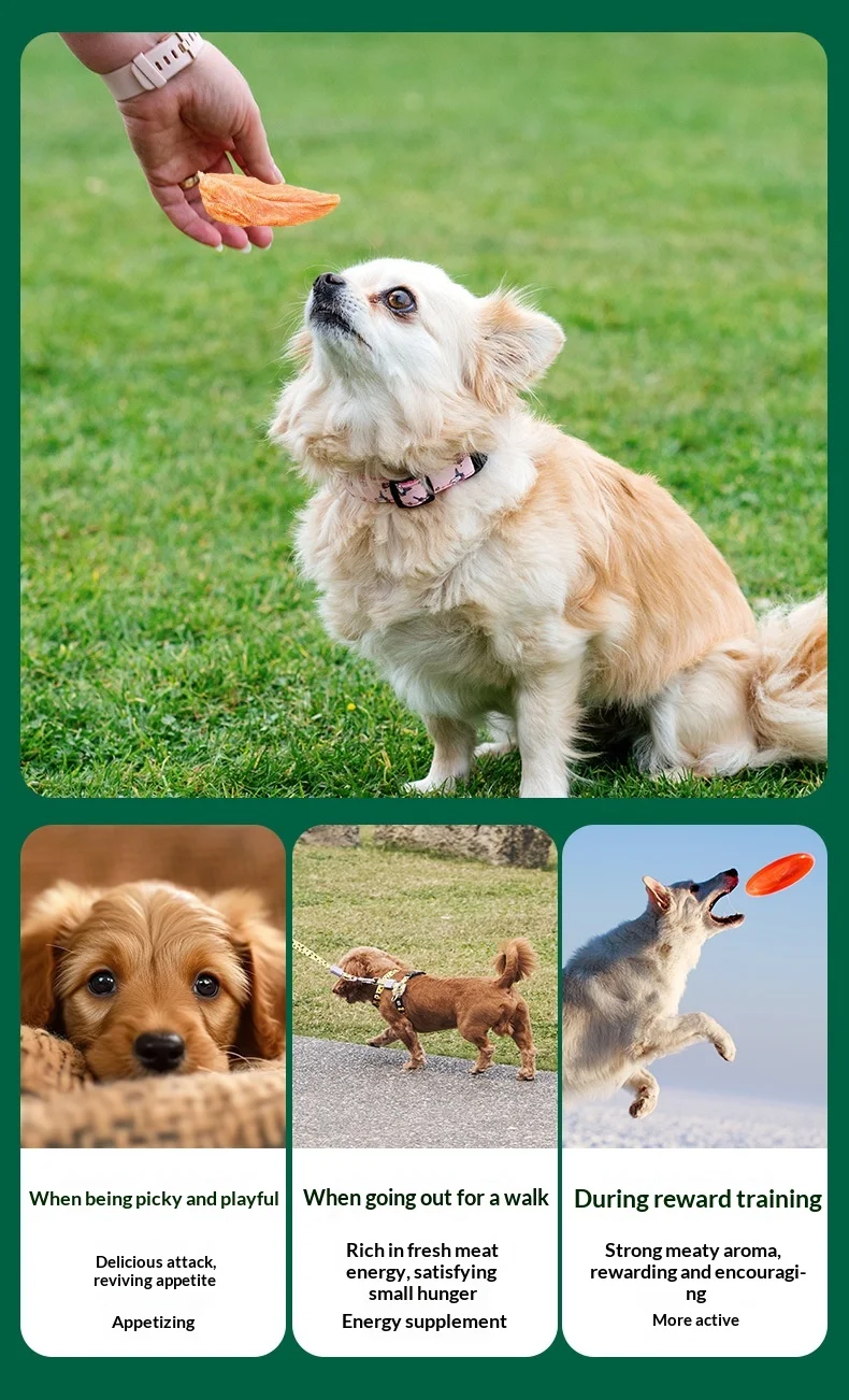 OEM/ODM Dog Food Factory Wholesale Popular Chicken Flavor Grilled Dried Dog Treats Natural Clean Teeth Chew Training Reward Dry details