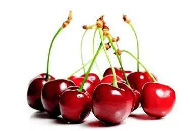 最好的有机17% 维生素c malpighia果提取水果针叶樱桃提取物粉末