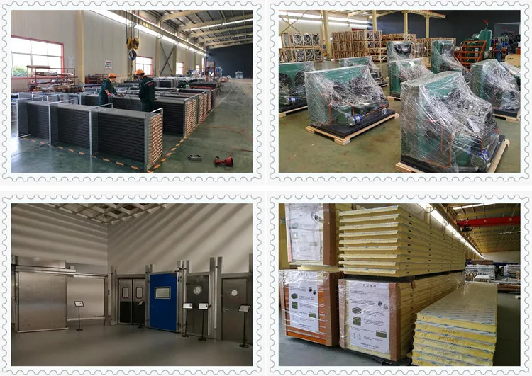 Frozen Iqf Tunnel Freezer, 380V, 500kg - detail 18