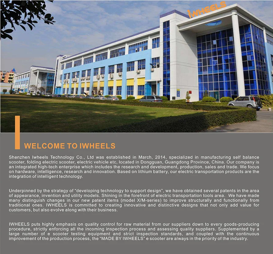 company introduction