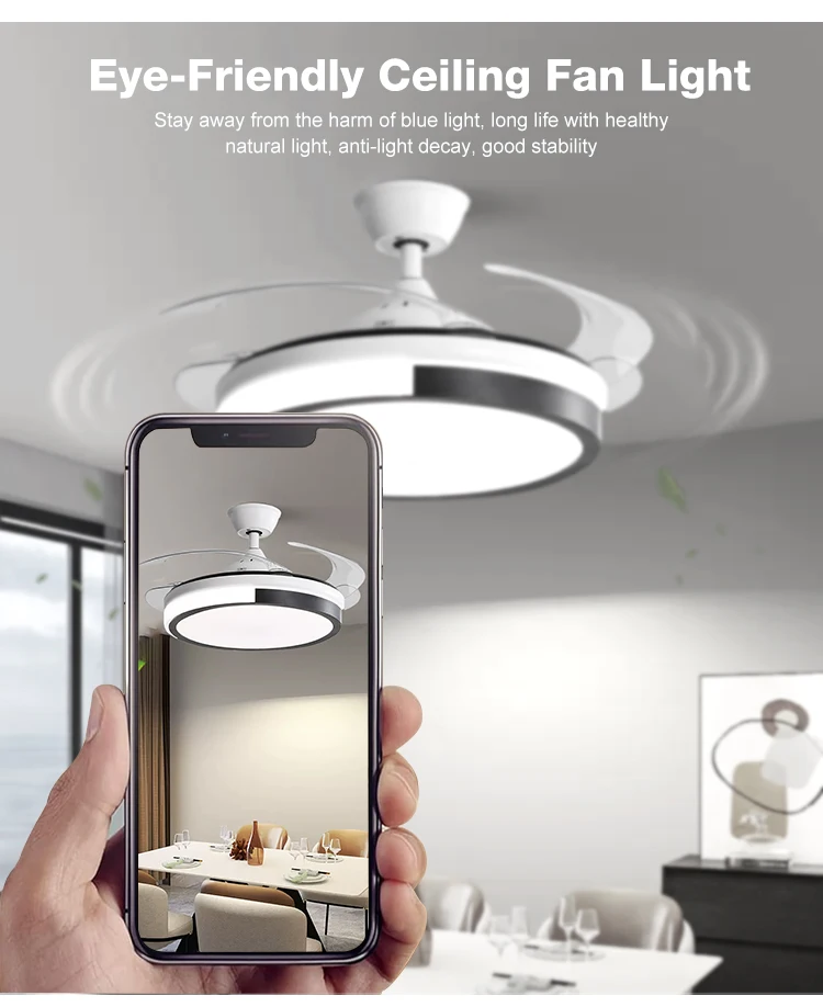 Blades Mute Motor, 42Inch, LED, Ceiling - detail 8