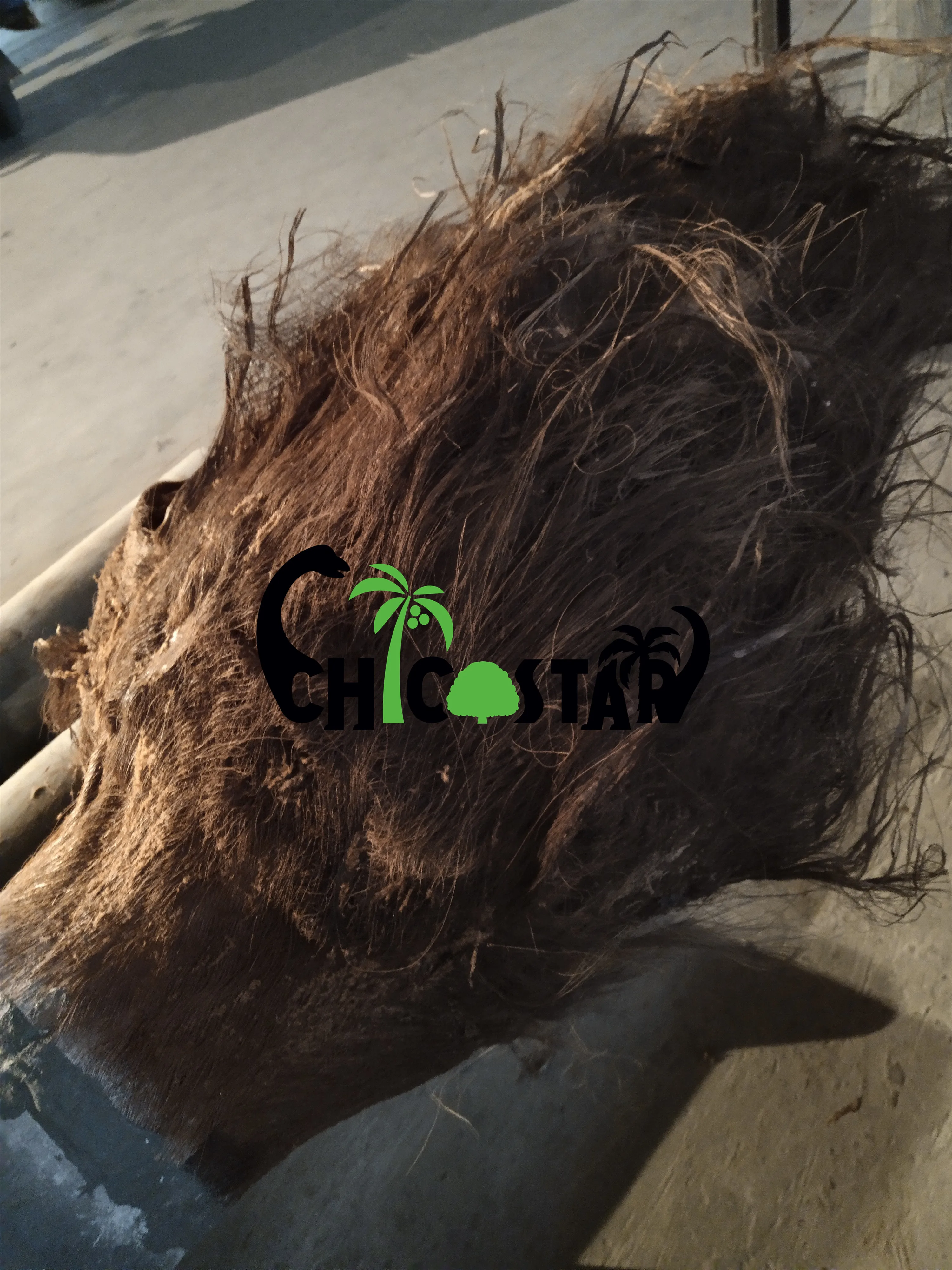 wholesale sago kentia palm tree outdoor artificial date palm