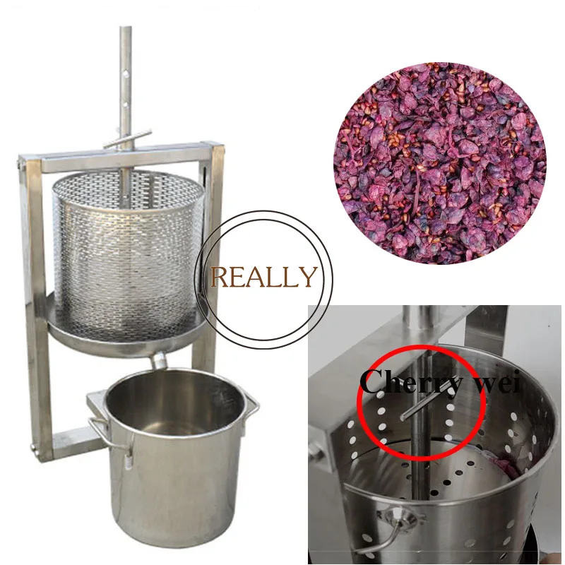 Oem 200kg/h Small Fruits Squeezer Press Filter Hydraulic Juicer Making
