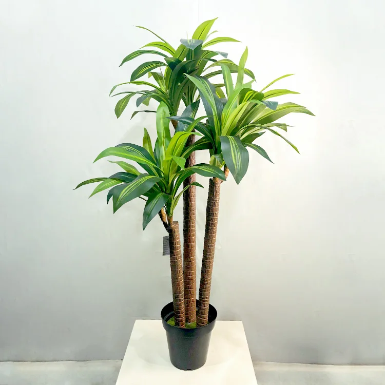 Cheap 1 5m Green Artificial Dragon Blood Tree For Indoor Decoration Buy Artificial Dracaena Artificial Dracaena Plants Artificial Dragon Blood Tree For Indoor Decoration Product On Alibaba Com