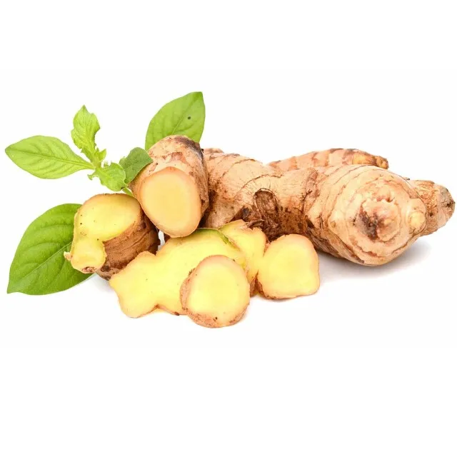 Fresh Ginger/ Slice Ginger/ Dried Ginger Vietnam Products - Buy Spicy ...