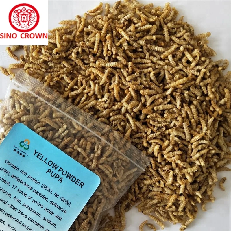 download bulk mealworms