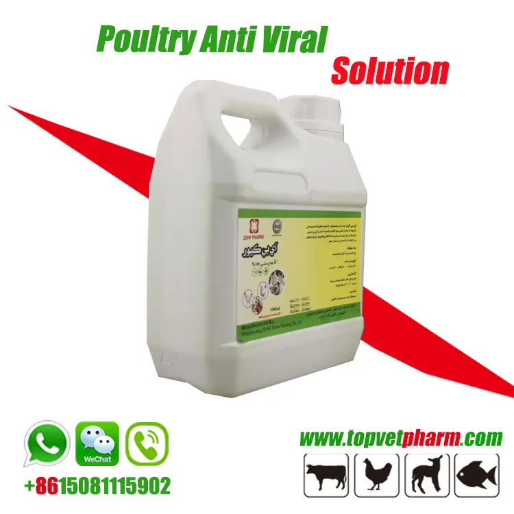 Veterinary Respiratory Mycoplasma Infection Clean For Poultry Chicken