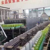 Automatic Aloe Vera juice Making Machine/Aloe Vera processing equipment/line
