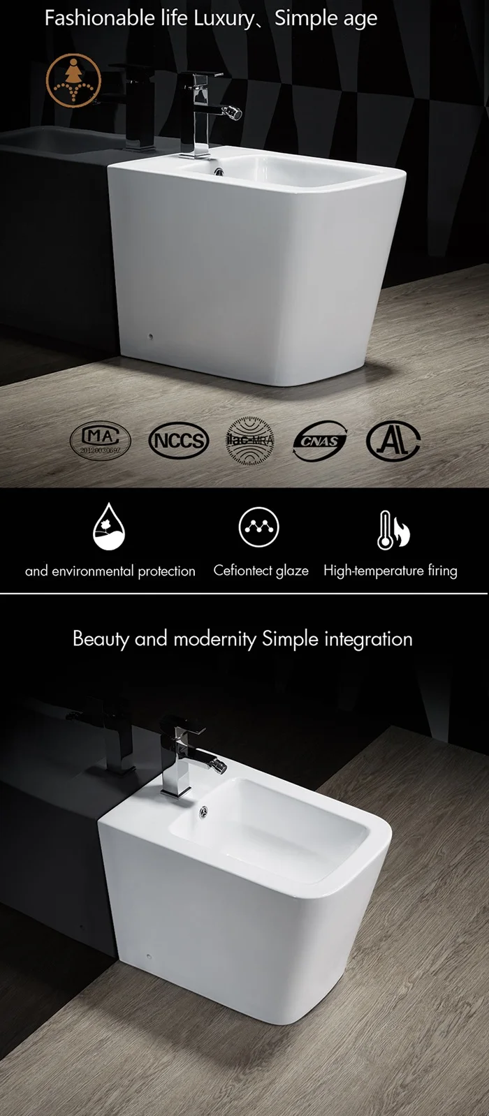 bidet toilet (8).jpg