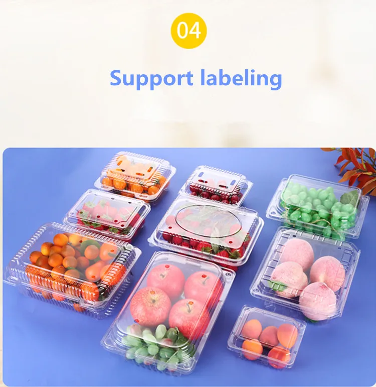 Clamshell Containers (16).jpg