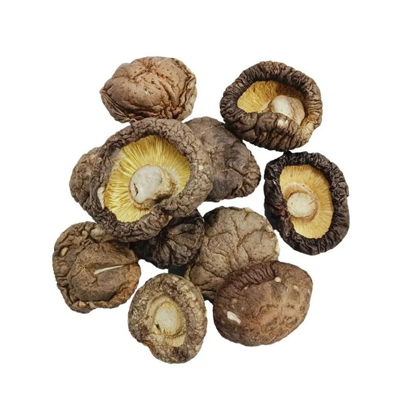 Selected Dried Shiitake Natural Shiitake Log Growth Healthy Dried ...