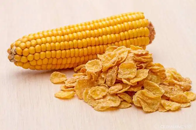 high quality corn flakes making machine with low price