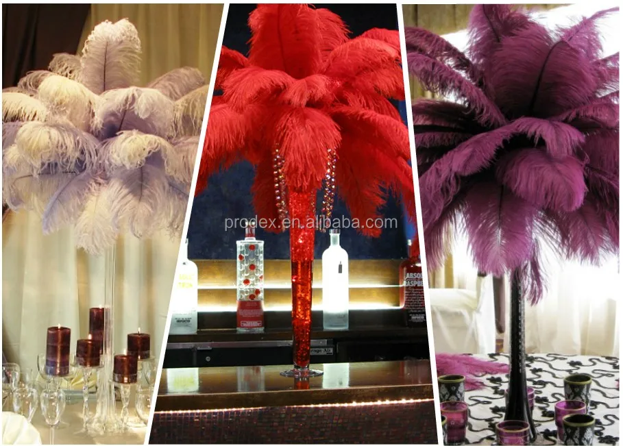 red and black ostrich feathers