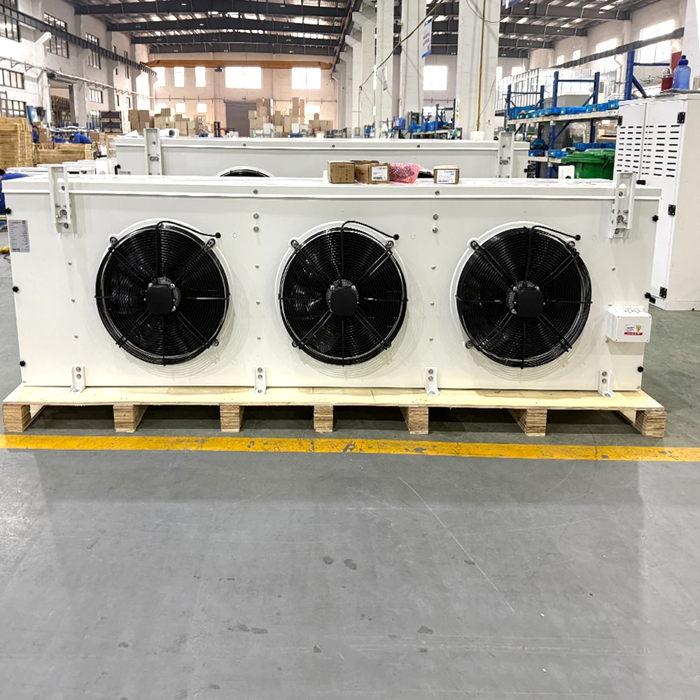 Blast Freezer, 220V - detail 24
