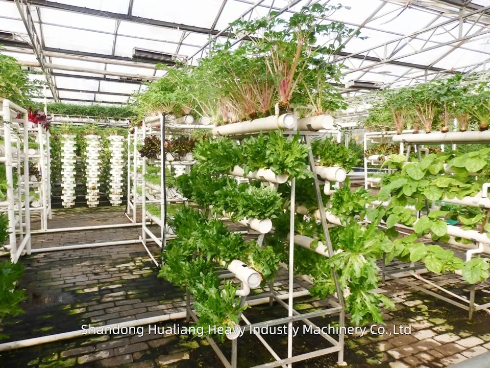 Aquaponics systems for sale uae 