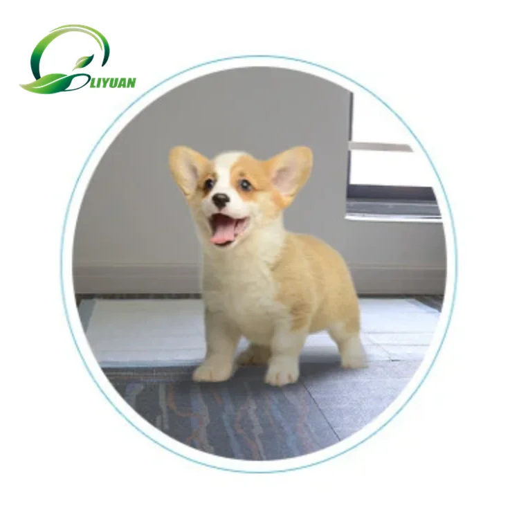 high quality dog pee pad