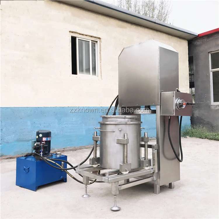 Commercial Industrial Screw Hydraulic Fruit Vegetable Press Machine