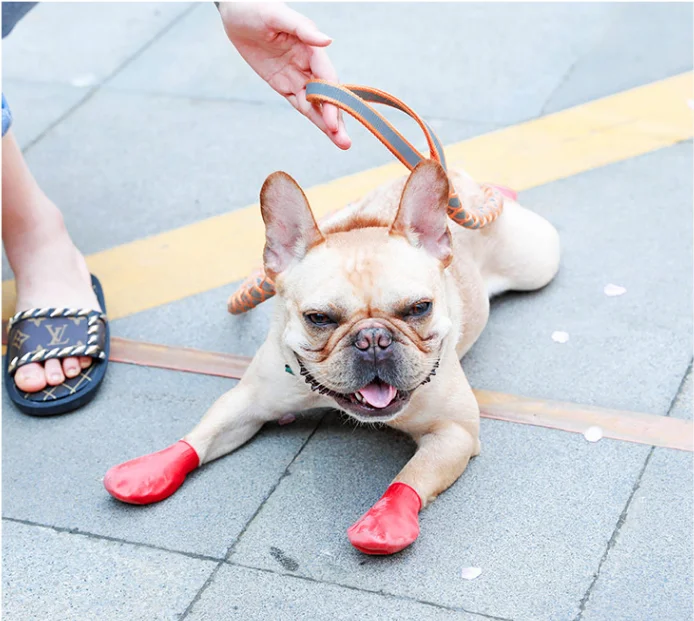 Dog Balloon Shoe Cover Rain Boots Pet Shoes Buy Dog Rain Shoes,Dog