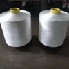 Free Sample Most Popular DTY LIM TBR 250D/122F Polyester Blanket DTY yarn