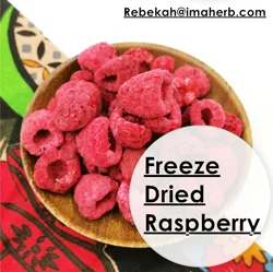 freeze-dried-powwder_08