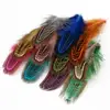 New Arrivals 50 pcs Rare Precious Multi-colour Pheasant Plume Feather Natural Feathers for Clothing decoration Home Decoration