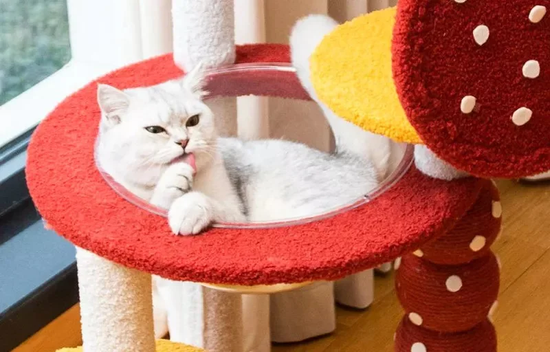 Secure High Quality Cat Toys Sisal Rope Scratching Post Funny Design 3