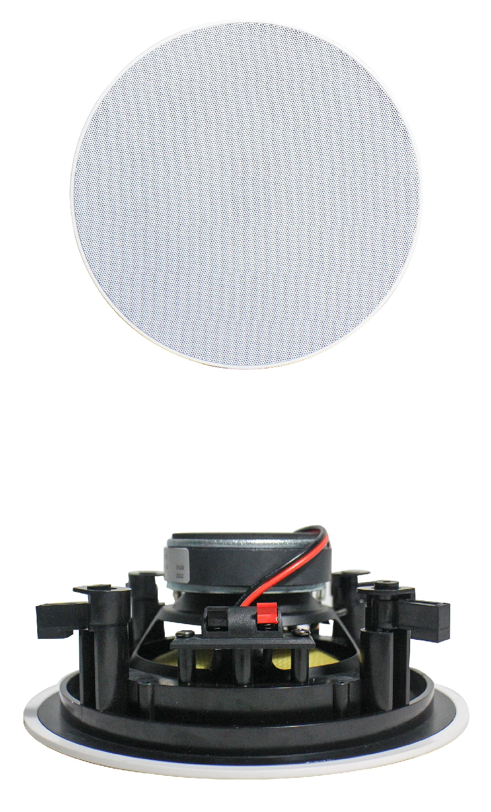 speaker.jpg