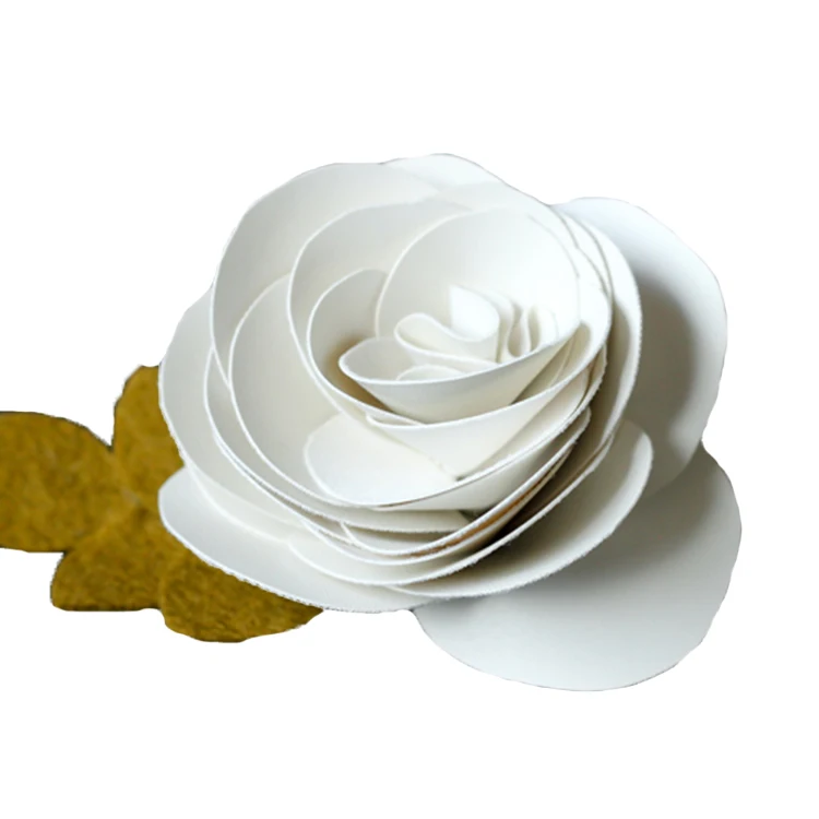 2345_image_file_copy_4.jpg