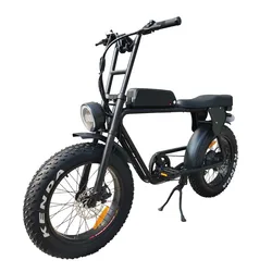 Newest high quality 48v 500w 20inch Aluminum Alloy mid drive fat pedal assist electric bike with gear