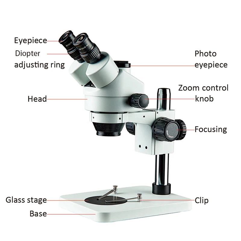 Factory Supply 7x 45x Zoom Trinocular Stereo Microscope For Diagram ...