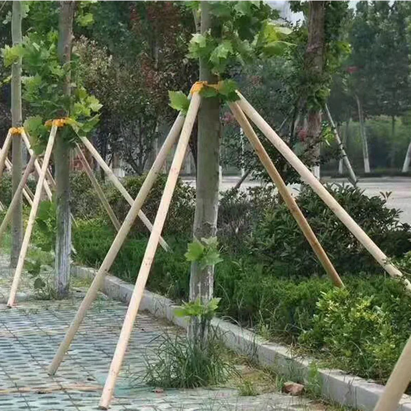 Wooden Pole Wood Stake Garden Stake Vegetable Support Wooden Fence