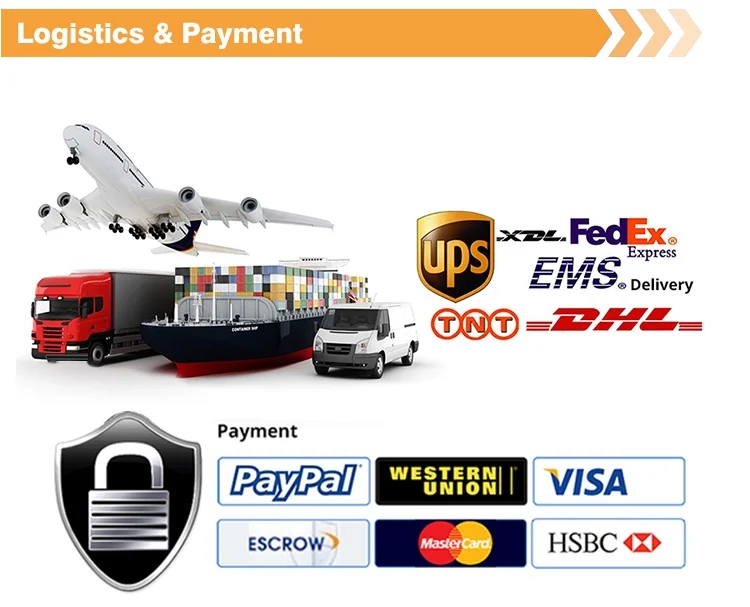 6. Logistics & Payment